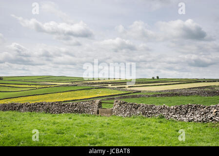 Murs en pierre calcaire à Litton dans le Peak District, Derbyshire, Angleterre. Banque D'Images