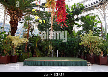 Intérieur de Sefton Park Palm House, Bâtiment Victorien 2 énumérés à Liverpool, Angleterre, achevé en 1896 Banque D'Images