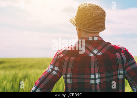 Concept de l'agriculture responsable, la productrice en cultures de céréales, agronome à la femme de terrain sur le champ de blé à l'horizon par un jour de vent et p Banque D'Images