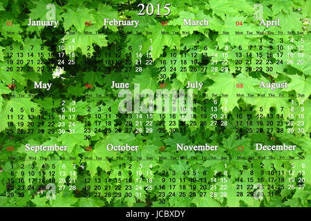 Calendrier pour 2014 - 2017 ans sur les feuilles vertes du fond de l'érable Banque D'Images