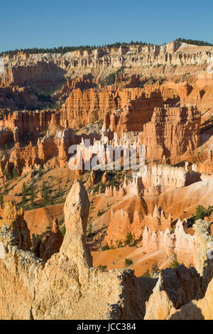 Vue depuis le sentier de Rim, Bryce Canyon National Park, Utah, USA Banque D'Images