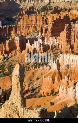 Vue depuis le sentier de Rim, Bryce Canyon National Park, Utah, USA Banque D'Images