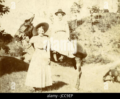 Meubles anciens c1900 photo, deux femmes et un mulet coller sa langue. Lieu inconnu, peut-être du Minnesota. SOURCE : photographie originale. Banque D'Images