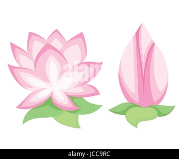 Vector illustration belle fleur de lotus rose, isolé sur fond blanc. Floral élégant papier peint au printemps. Carte d'invitation ou de voeux Illustration de Vecteur