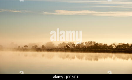 Surface dérive du brouillard tôt billabong le chanteur, Victoria, Australie. Banque D'Images
