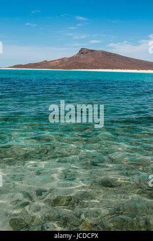 Parc national du Mexique Isla Espiritu Santo, La Paz Baja California Sur. Banque D'Images