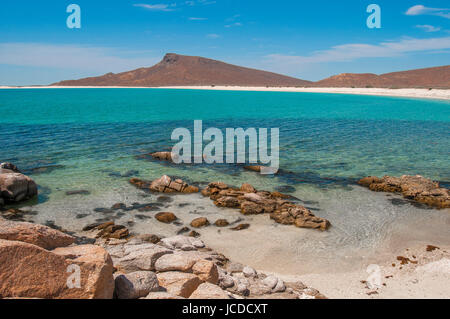 Parc national du Mexique Isla Espiritu Santo, La Paz Baja California Sur. Banque D'Images