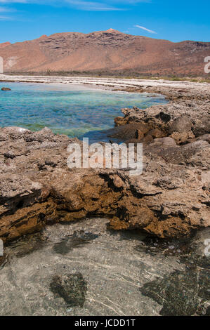 Parc national du Mexique Isla Espiritu Santo, La Paz Baja California Sur. Le Mexique Banque D'Images