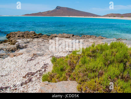 Parc national du Mexique Isla Espiritu Santo, La Paz Baja California Sur. Le Mexique Banque D'Images