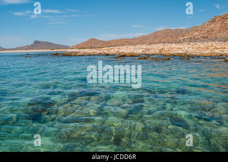 Parc national du Mexique Isla Espiritu Santo, La Paz Baja California Sur. Banque D'Images