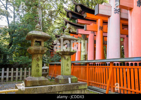 Fushimi Inari Taisha, Torii gates et de lanternes en pierre. Banque D'Images