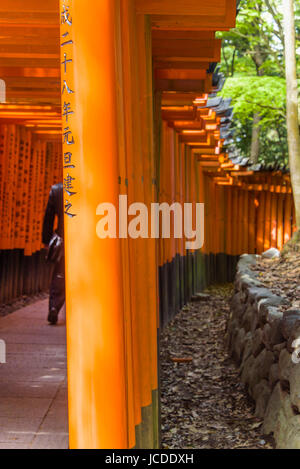 Fushimi Inari Taisha, Torii gates Banque D'Images