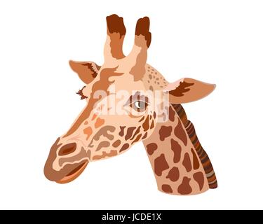 Tête de girafe isolé sur fond blanc Illustration de Vecteur