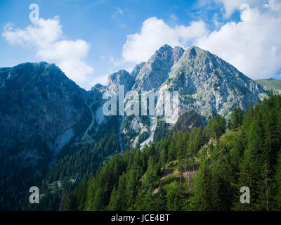 Landschaftsaufnahme mit Blick auf den Ifinger dans Südtirol im Sommer mit Wald im Vordergrund Banque D'Images