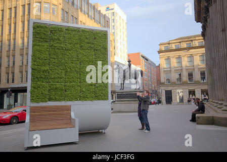 Glasgow, Ecosse, Royaume-Uni. 14 Jun, 2017. Glasgow célèbre la première Journée nationale d'assainissement de l'air (NCAD) le 15 juin par l'installation de la première de deux sculptures de vie conçu pour purifier l'air dans deux de ses rues les plus animées.Sur la photo est la première installée dans Royal Exchange Square, près de la galerie d'Art Moderne et l'emblématique tête de cône duc de Wellington statue. Le deuxième est d'être installé plus tard au moment de l'exécution de la sculpture à par la station centrale d'autobus. Credit : Gérard ferry/Alamy Live News Banque D'Images