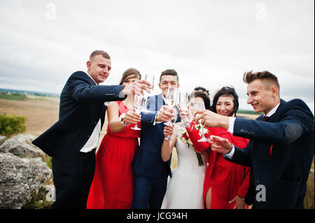 Couple de mariage et braidsmaids avec garçons drinking champagne dans une campagne pittoresque. Banque D'Images