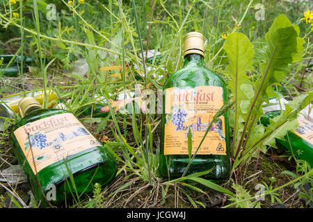 Vin tonique Buckfast - bouteilles vides jonchent à Glasgow, Écosse, Royaume-Uni Banque D'Images