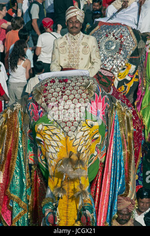 Décoré d'éléphants indiens (Elephas maximus indicus) parmi une foule de gens à l'assemblée annuelle de l'elephant festival à Jaipur, Rajasthan, Inde. Banque D'Images