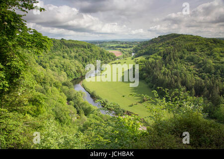 La rivière Wye de Symonds Yat, Herefordshire, Angleterre, RU Banque D'Images