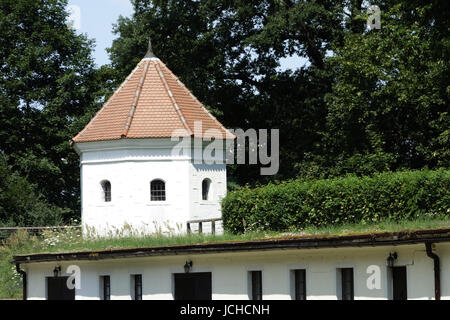 Château Musée de la forteresse et senftenberg Banque D'Images