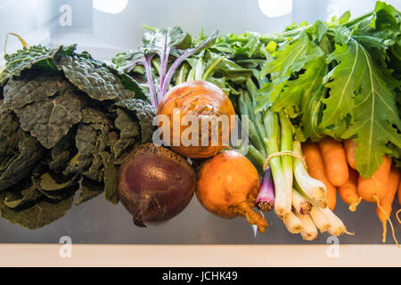 Les légumes au réfrigérateur sur une étagère en verre Banque D'Images