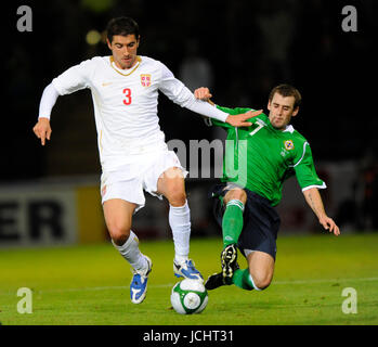 ALEKSANDAR KOLAROV & NIALL MCGINN IRLANDE DU NORD IRLANDE DU NORD V V SERBIE SERBIE WINDSOR PARK, Belfast, EN IRLANDE DU NORD 14 novembre 2009 GAA3208 ATTENTION ! Cette photo ne peut être utilisée que pour les journaux et/ou à des fins d'édition de magazines. Ne peut être utilisé pour l'utilisation en ligne/Internet, ni pour les publications impliquant 1 joueur, 1 ou 1 Concours Club, sans l'autorisation écrite de Football DataCo Ltd. Pour toute question, veuillez communiquer avec le Football DataCo Ltd au  +44 (0) 207 864 9121 Banque D'Images