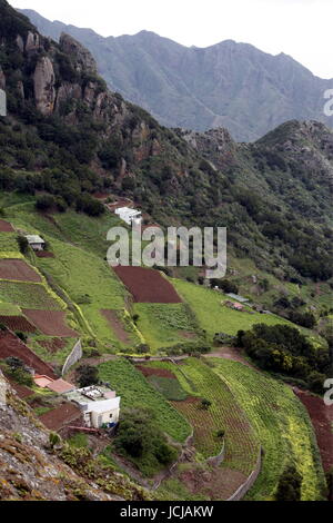 Les Montanas de Anaga dans le nord-est de l'île de Tenerife dans les îles de Canaries de l'Espagne dans l'Atlantique. Banque D'Images