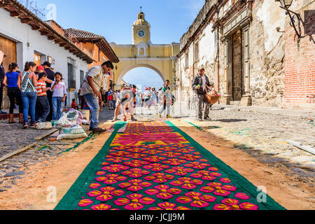 Antigua, Guatemala - mars 25, 2016 : faire de la sciure de bois teint le vendredi saint procession de tapis dans la ville avec célèbre célébrations de la semaine sainte Banque D'Images