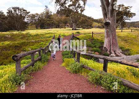 Photo prise sur un quatre jours de vacances en octobre de 2016, tout en restant à Willow Springs Station, Jackaroos Cottage, Flinders Ranges, Australie du Sud Banque D'Images