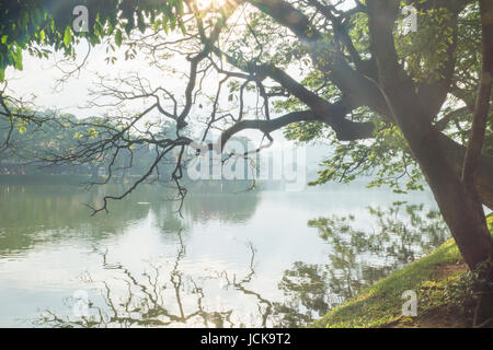 Le lac de Kandy couvert de lumière du soleil à travers un arbre Banque D'Images
