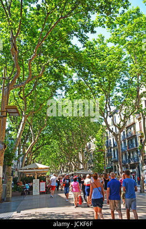 L'avenue La Rambla, Barcelone, Catalogne, Espagne Banque D'Images
