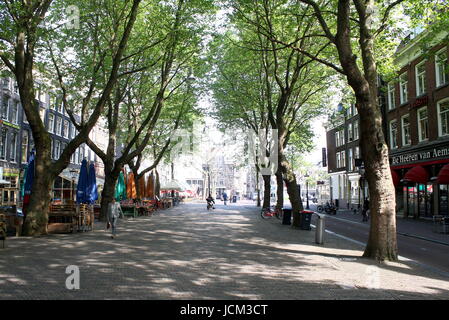 Matin de printemps sous les arbres ombragés de Thorbeckeplein, centre-ville d'Amsterdam, aux Pays-Bas. Banque D'Images