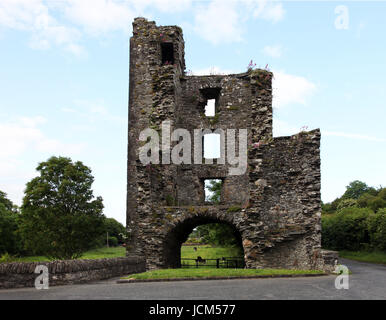 Ruines de la vieille abbaye de Mellifont, Ireland's forst abbaye cistercienne Banque D'Images