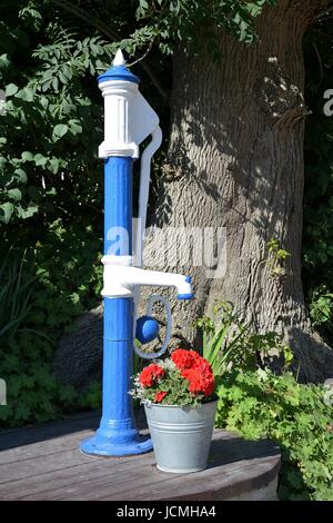 Vitt Banque D'Images