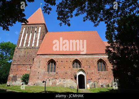 Lohmen, Sankt-Andreas-Kirche (15-de eeuw) Banque D'Images