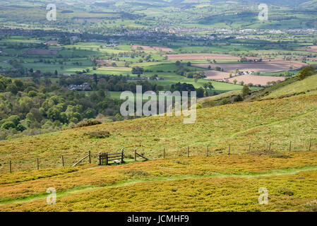 Belle vue sur un paysage verdoyant de Moel Famau dans le Nord du Pays de Galles. Banque D'Images