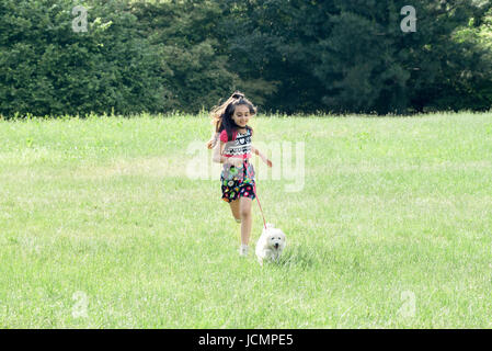 Petite fille courir avec son animal de compagnie en laisse poodle dans un champ dans l'herbe verte qu'ils jouissent de la liberté de l'été vacances, with copy space Banque D'Images