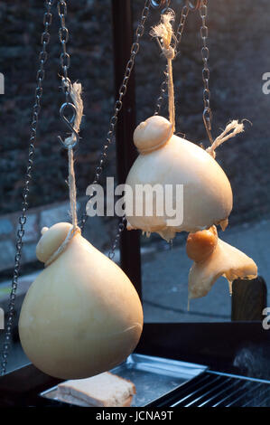 L'Italie, Campanie, fromage caciocavallo Impiccato Banque D'Images