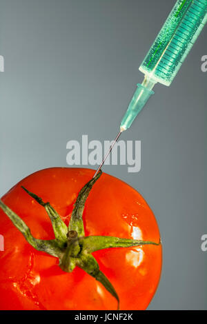 L'injection avec une aiguille hypodermique fond vert vif dans une tomate rouge. Biotech Banque D'Images