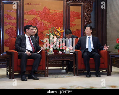 (170616) -- BEIJING, 16 juin 2017 (Xinhua) -- le vice-Premier ministre chinois Zhang Jaili (R) rencontre avec l'envoyé du Président et Ministre de la coordination des affaires maritimes Binsar Luhut Pandjaitan à Beijing, capitale de Chine, le 16 juin 2017. (Xinhua/Wang Ye) (ZHS) Banque D'Images