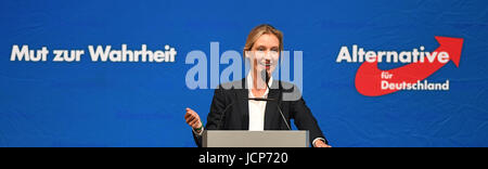 Karlsruhe, Allemagne. 17 Juin, 2017. Alice Weidel, grand favori de l'Alternative pour l'Allemagne (AfD) partie pour les prochaines élections parlementaires du Bundestag allemand, prend la parole à l'État partie de la convention de Bade-wurtemberg l'AfD à Karlsruhe, Allemagne, 17 juin 2017. Photo : Uli Deck/dpa/Alamy Live News Banque D'Images