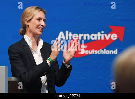 Karlsruhe, Allemagne. 17 Juin, 2017. Alice Weidel, grand favori de l'Alternative pour l'Allemagne (AfD) partie pour les prochaines élections parlementaires du Bundestag allemand, prend la parole à l'État partie de la convention de Bade-wurtemberg l'AfD à Karlsruhe, Allemagne, 17 juin 2017. Photo : Uli Deck/dpa/Alamy Live News Banque D'Images