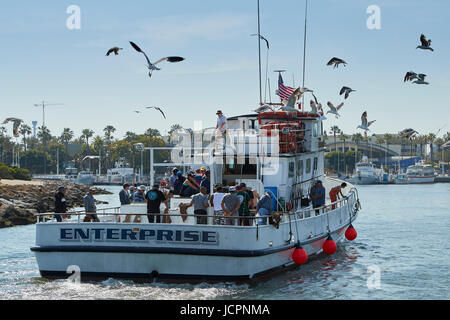 Mouettes troupeau sur l'entreprise que le sport Fishemen nettoyer leurs poissons avant de retourner au port de Long Beach, en Californie. Banque D'Images