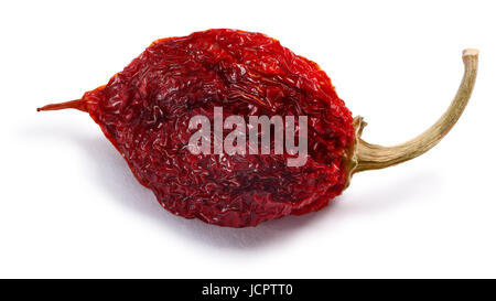 Le Habanero séchées (Capsicum chinense) chili pepper, ensemble de la gousse. Chemins de détourage, les ombres séparés Banque D'Images