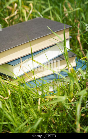 Pile de livres sur l'herbe Banque D'Images