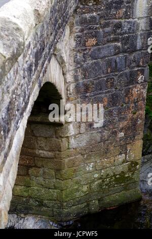 Nouveau pont, un pont médiéval classé Grade II, construit en 1413, enjambant la rivière Dart. Le Dartmoor, Devon, UK. Mai, 2017. Banque D'Images