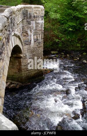 Nouveau pont, un pont médiéval classé Grade II, construit en 1413, enjambant la rivière Dart. Le Dartmoor, Devon, UK. Mai, 2017. Banque D'Images