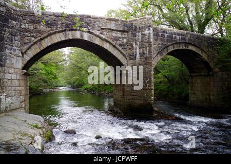 Nouveau pont, un pont médiéval classé Grade II, construit en 1413, enjambant la rivière Dart. Le Dartmoor, Devon, UK. Mai, 2017. Banque D'Images