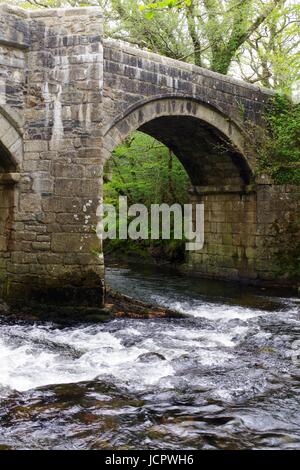 Nouveau pont, un pont médiéval classé Grade II, construit en 1413, enjambant la rivière Dart. Le Dartmoor, Devon, UK. Mai, 2017. Banque D'Images