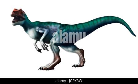 L'Allosaurus dinosaur, artwork. Allosaurs ont été grands théropodes carnivores qui vivait pendant le jurassique (150 à 155 millions d'années) en ce qui est maintenant l'Amérique du Nord. Ils étaient à deux pattes (bipède) prédateurs qui était en moyenne une hauteur de 8,5 mètres. Ils étaient les prédateurs de leur temps et ont été mentionnés comme le lion du Jurassique. Banque D'Images